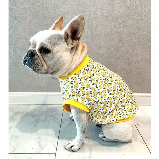 ひんや〜り接触冷感 吸水速乾 フレンチブルドッグ 服 さわやかもぎたて