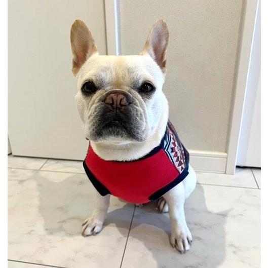 フレンチブルドッグ 服 パグ ネイティブ柄ジャガード レッドホットT