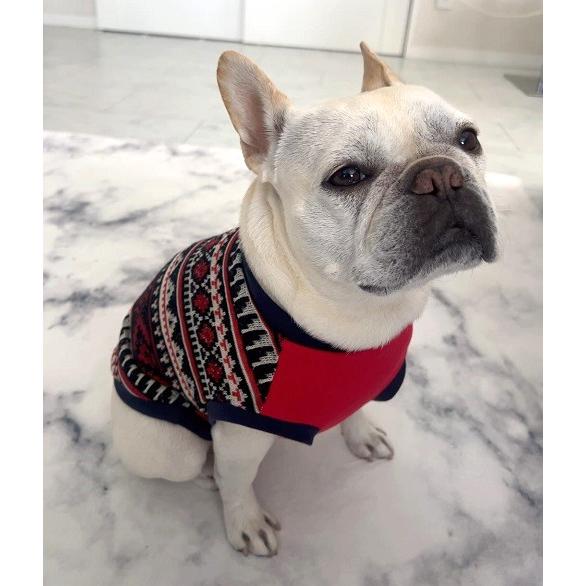 フレンチブルドッグ 服 パグ レッドノルディック ジャガード 薄手素材