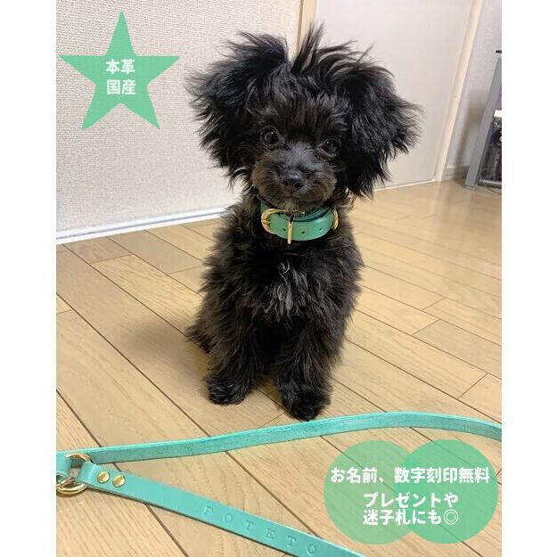 お名前 数字刻印無料 本革 小型犬 中型犬 首輪とリードセット 1.5cm幅