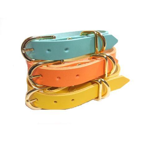 犬用品 ターコイズ・オレンジ レザー首輪・リードセット