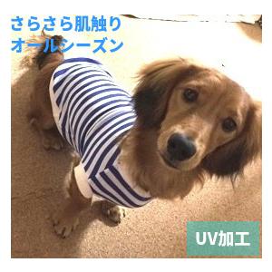 ダックスフンド服 ミニチュアダックスフンド 服 秋冬 国産 小型犬 ds