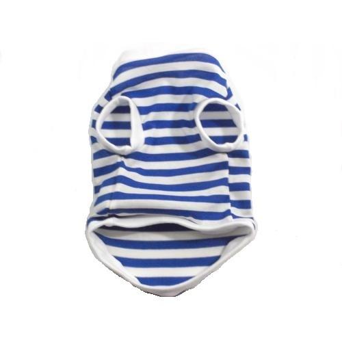 aoitoriオーダーページです　ミニチュアダックスフンド　犬服　わんこ服 楽天市場】ダックスフンド 服 濃紺ニットボーダー : 犬の服 首輪