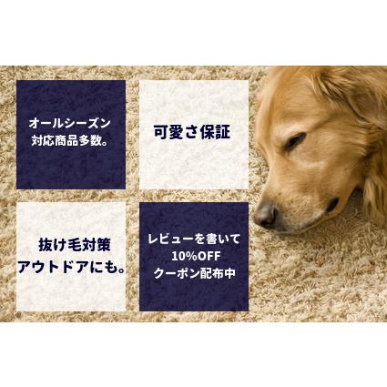 ミニチュアダックスフンド 服 コーギー オールトラッドカットソー