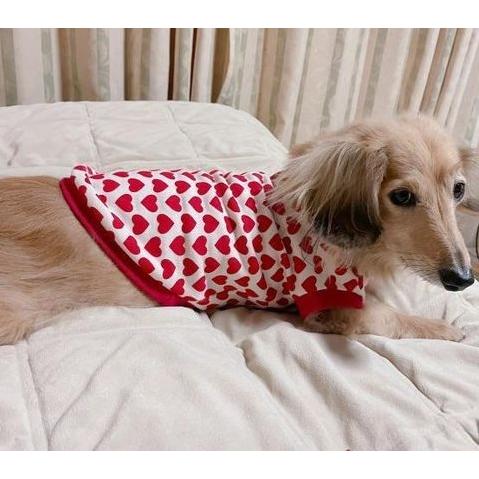 ミニチュアダックス 服 コーギー おしゃれ ds 専門店 国産 ダックス