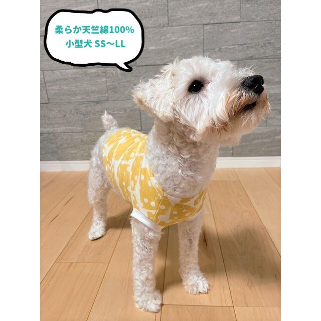 チワワ 服 トイプードル 服 小型犬 映えチーズ盛り盛りスムースニット