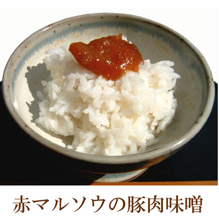 肉味噌 瓶詰め 沖縄 ご飯のお供 豚肉みそ 旨から 140g×24個 赤マルソウ 沖縄土産 まとめ買い|hibiscus|02