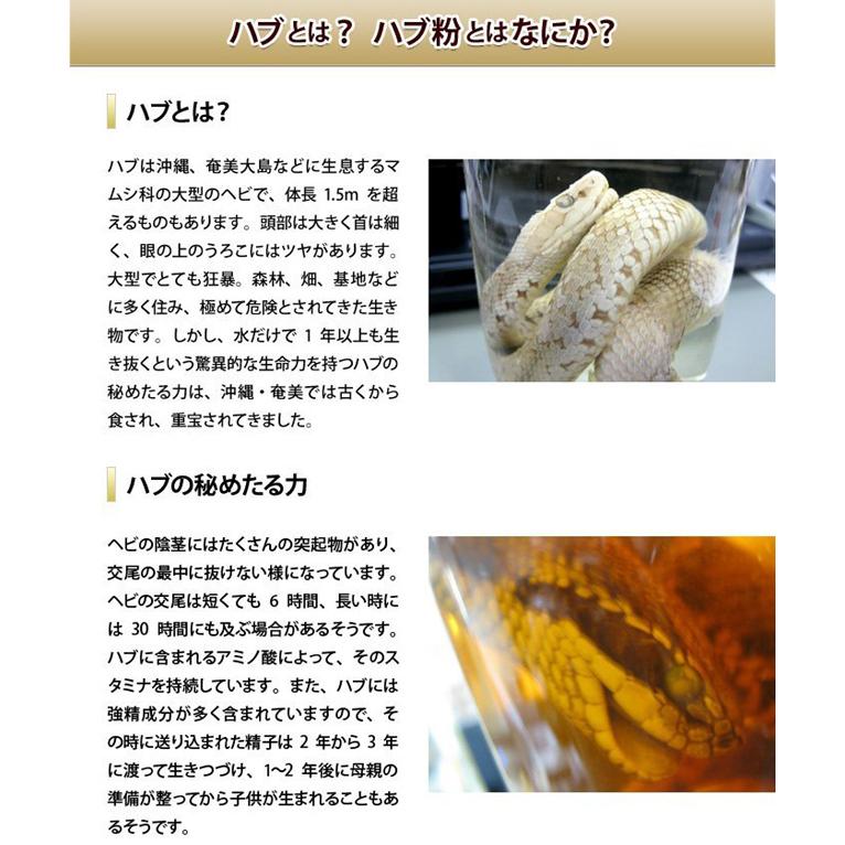 沖縄ウコン堂 ハブ粉 100g×5個 ハブ 粉末 奄美大島 栄養補助食品