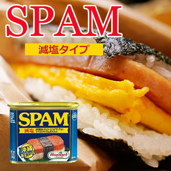Hormel Foods（ホーメルフーズ） スパム 減塩 缶詰 沖縄ホーメル 340g