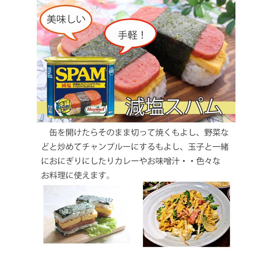 Hormel Foods（ホーメルフーズ） スパム 減塩 缶詰 沖縄ホーメル 340g