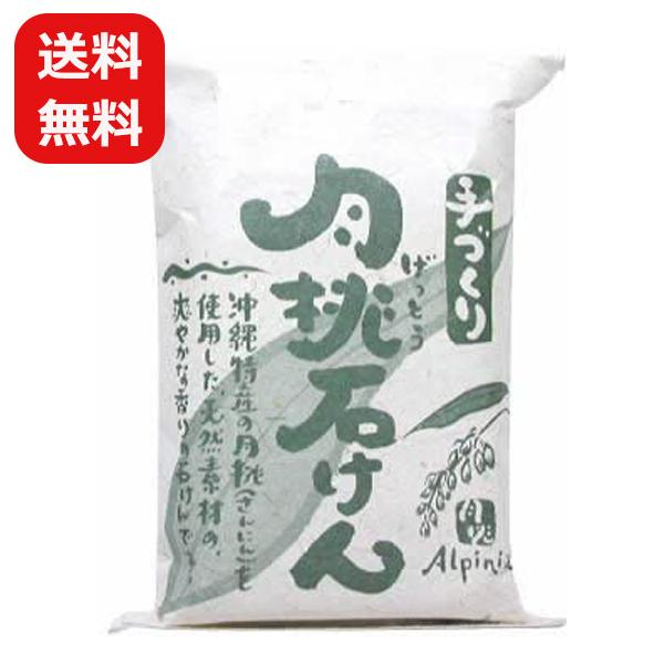 月桃石鹸 沖縄 日本月桃 100g メール便送料無料 石鹸 無添加 固形 洗顔