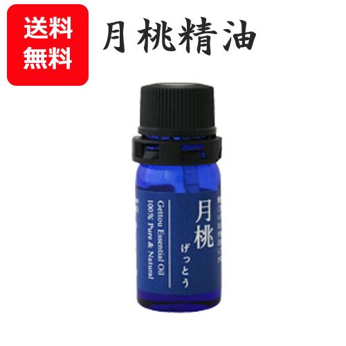 月桃精油 月桃 エッセンシャルオイル シマ月桃 日本月桃 5ml 送料無料 おうち時間 癒し 気分転換 沖縄土産 ご当地お土産 月桃 エッセンシャルオイル 精油 シマ月桃 5ml 日本月桃 沖縄 お土産