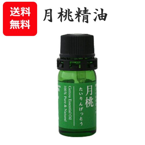 月桃 精油 エッセンシャルオイル タイリン月桃 5ml レターパック送料