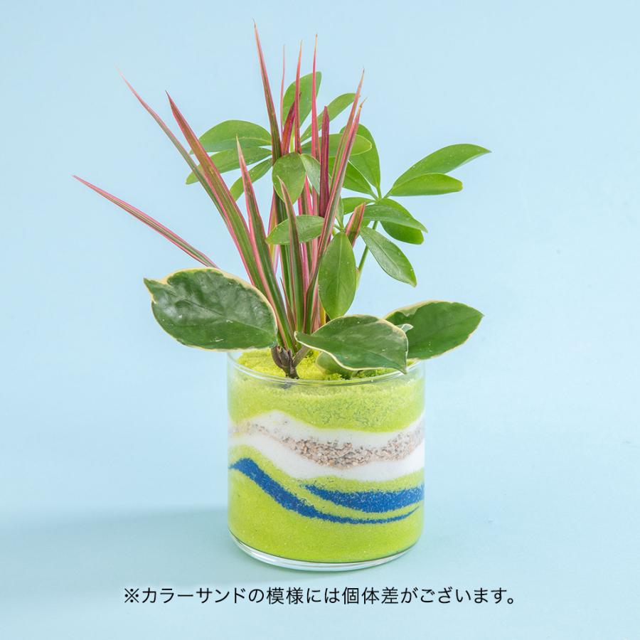 父の日 21 ギフト プレゼント つりしのぶ 日比谷花壇 花 贈呈