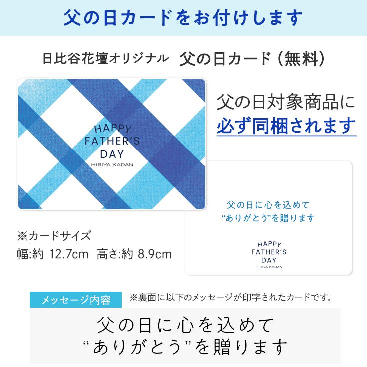 父の日 ギフト 観葉植物 人参ガジュマル 日比谷花壇公式ショップ｜hibiyakadan｜07