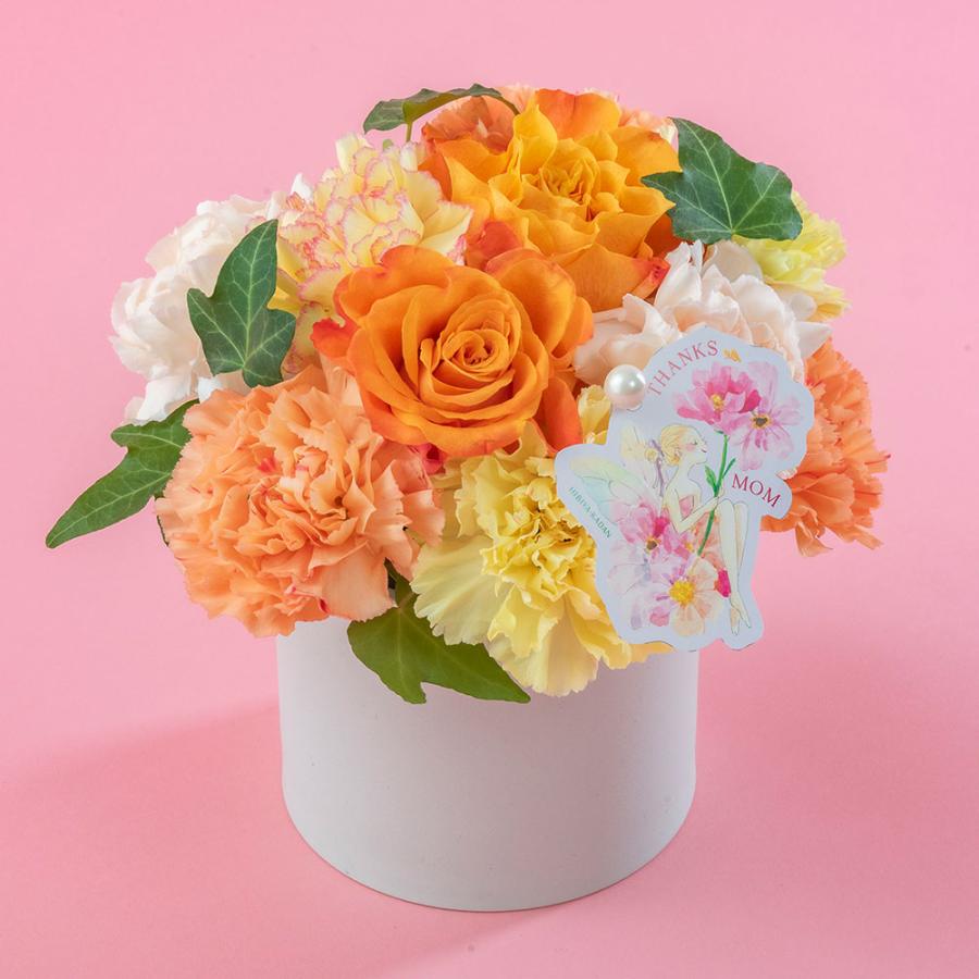 日比谷花壇（HIBIYA-KADAN） 【販売終了】【日比谷花壇公式】母の日