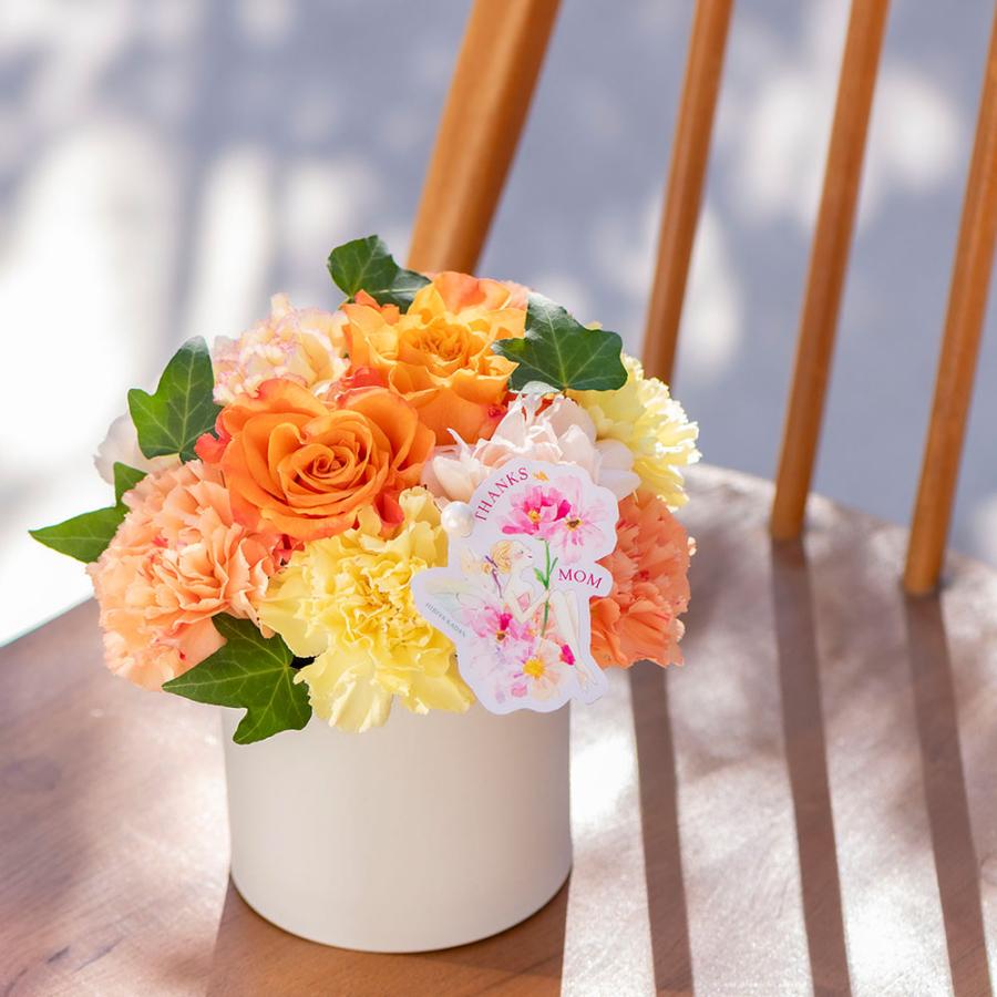 日比谷花壇（HIBIYA-KADAN） 【販売終了】【日比谷花壇公式】母の日