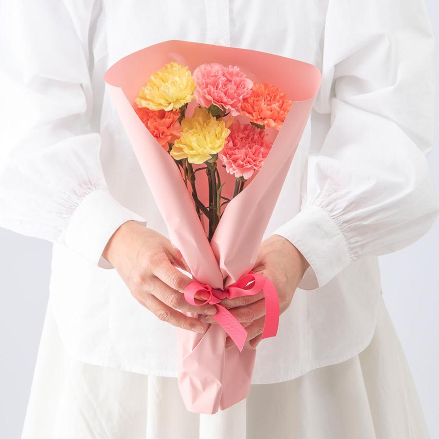 日比谷花壇（HIBIYA-KADAN） 【ポイント5倍】【日比谷花壇公式】母の日