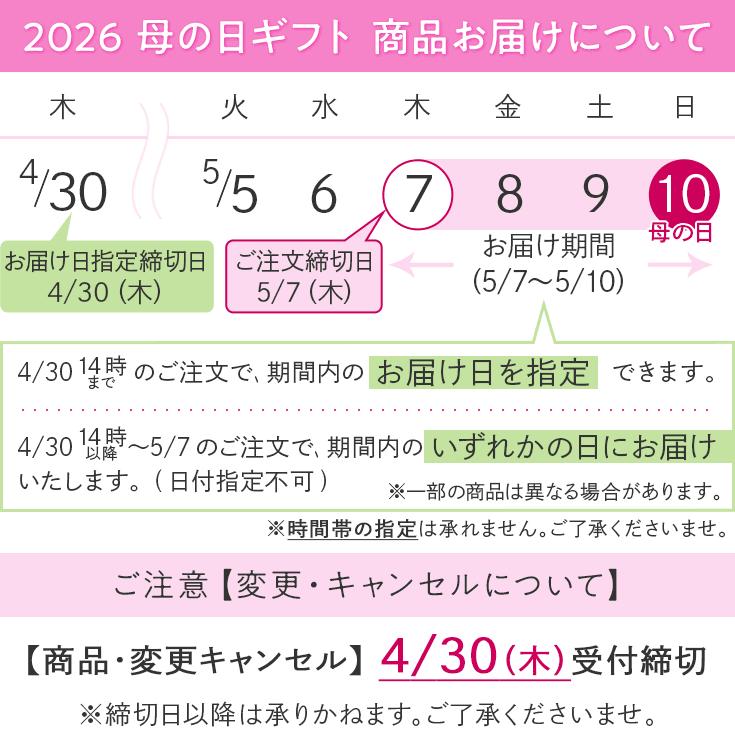 日比谷花壇（HIBIYA-KADAN） 【販売終了】【日比谷花壇公式】母の日