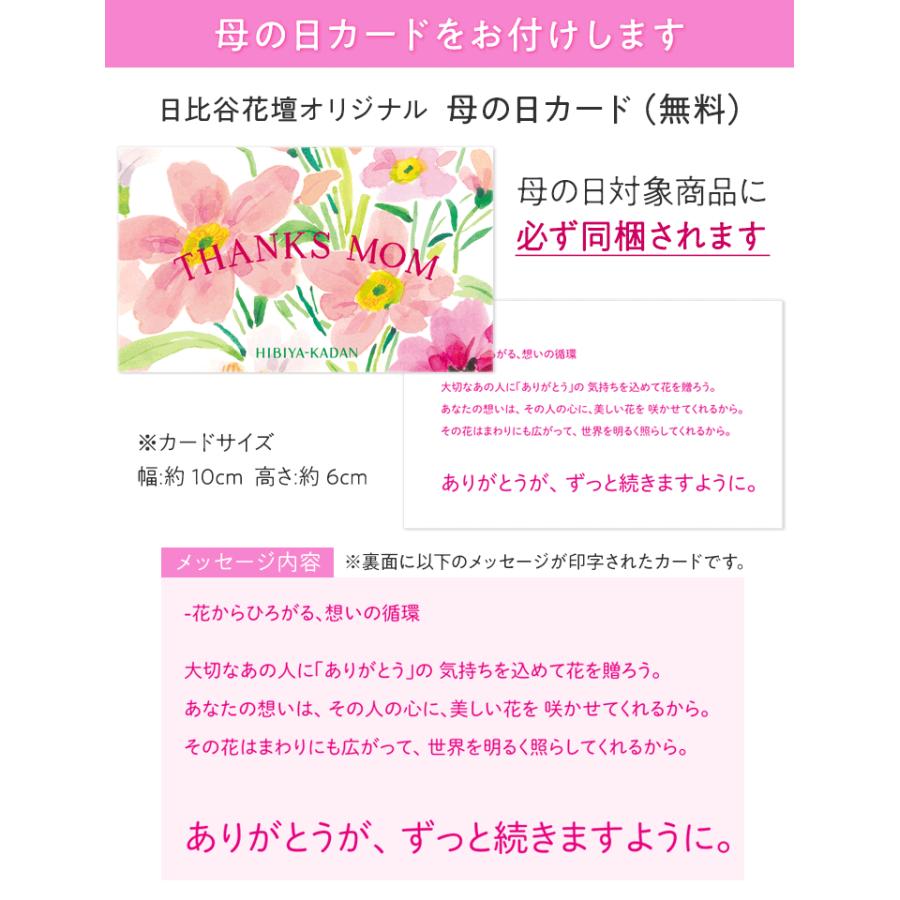 【日比谷花壇公式】母の日 NozomiYuasa× ミディ胡蝶蘭 風呂敷ラッピングの画像