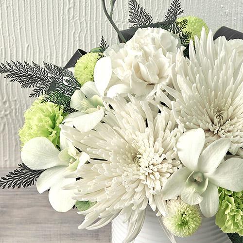 お供え お悔やみ 花 供花 アレンジメント 心菊 こころぎく 日比谷花壇 日比谷花壇 Paypayモール店 通販 Paypayモール