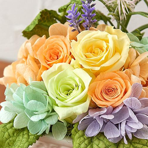 定番の中古商品 誕生日 お祝い 花 プリザーブド アーティフィシャルフラワーアレンジメント リフレッシング Originaljustturkey Com