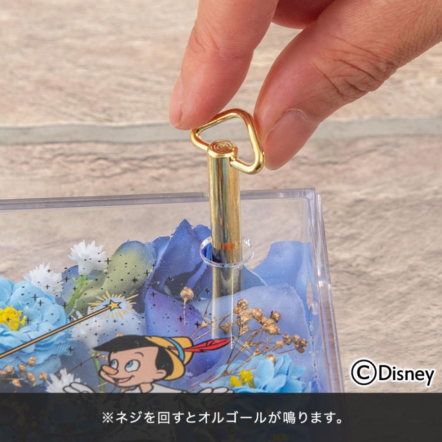 プリザーブドフラワー オルゴールドーム ピノキオ 星に願いを 送料無料