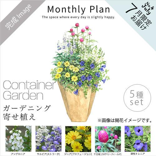 ガーデニング完成品 寄せ植えガーデン7月 日比谷花壇 Ccqfo Cl