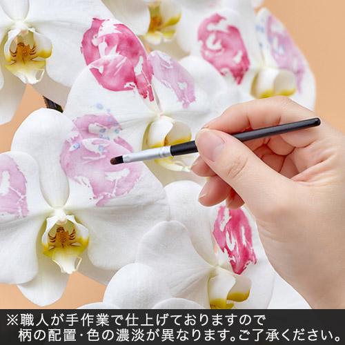日比谷花壇（HIBIYA-KADAN） 日比谷花壇公式 花鉢 ギフト 胡蝶蘭