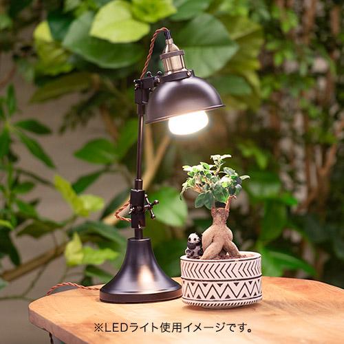 日比谷花壇 日比谷花壇公式 植物育成用LED電球 Well light 3K 昼白色(1