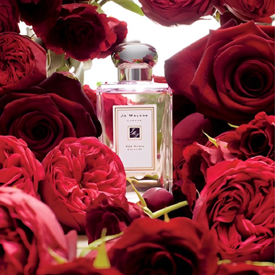 Jo Malone London Red Roses Cologne EDP 100mL ー 花々の調和、洗練された魅力、一日を彩る香り｜hibox｜03