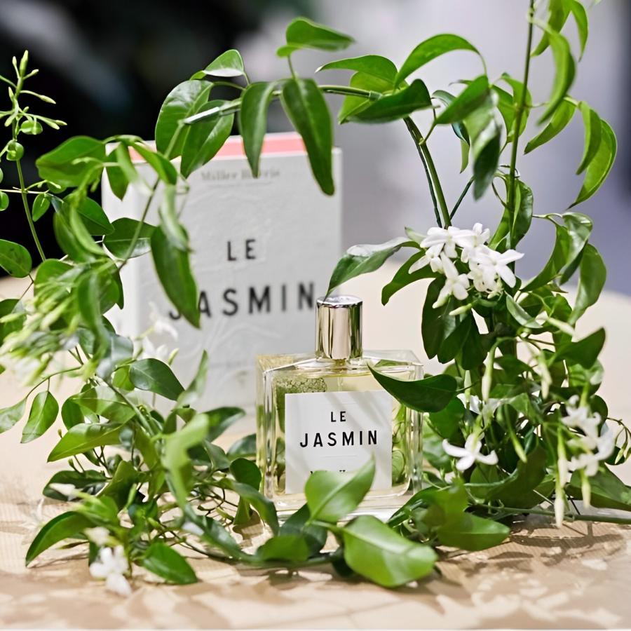 Miller Harris ミラーハリス Le Jasmin ル ジャスミン EDP SP 100ml :mh-le-jasmin-edp