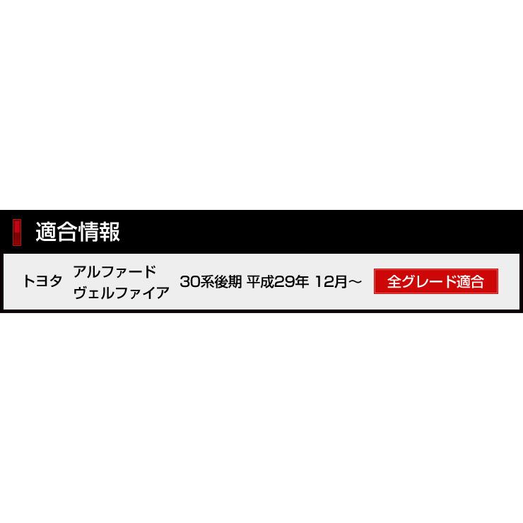 トヨタ 30系 アルファード ヴェルファイア 後期専用 10連 LED ウェルカムランプ 全2色 ブルー ホワイト[5] | YOURS | 02