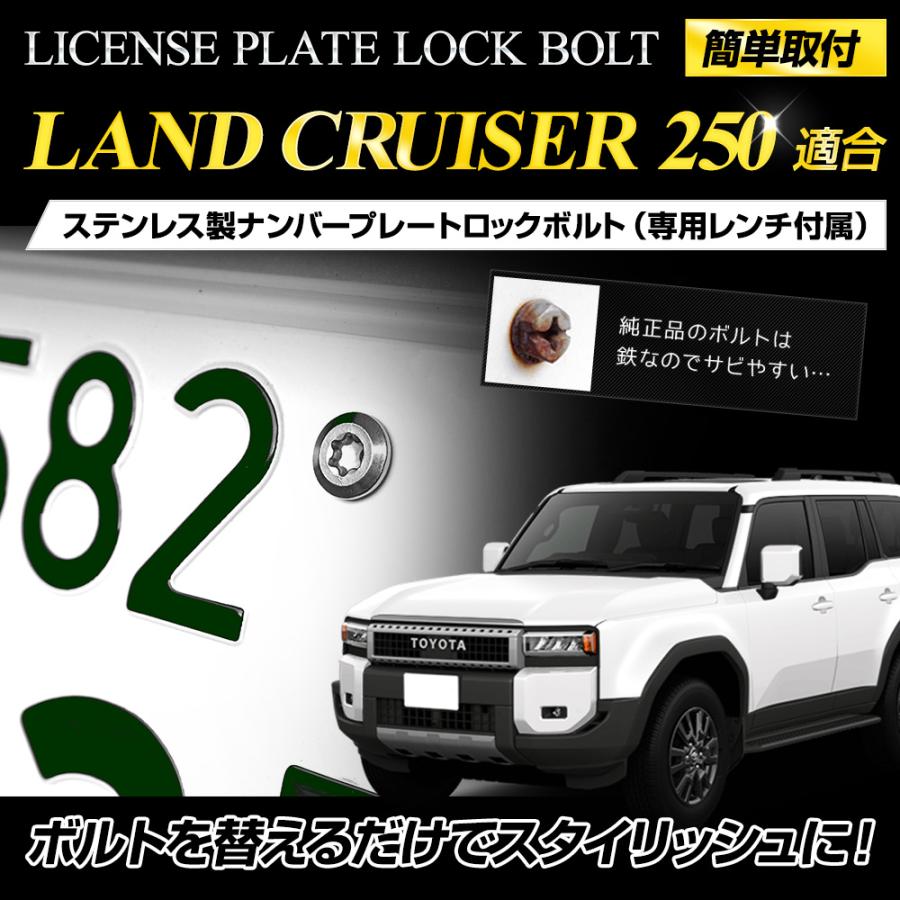 YOURS トヨタ ランドクルーザー250 適合 ナンバープレート