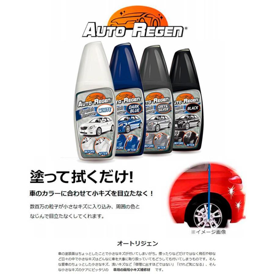 オートリジェン グレー シルバー 車用簡易小キズ補修剤 車のキズ隠し 小傷修復 Ech 0035 Kns Ech 0035 Sonic Plaza 通販 Yahoo ショッピング