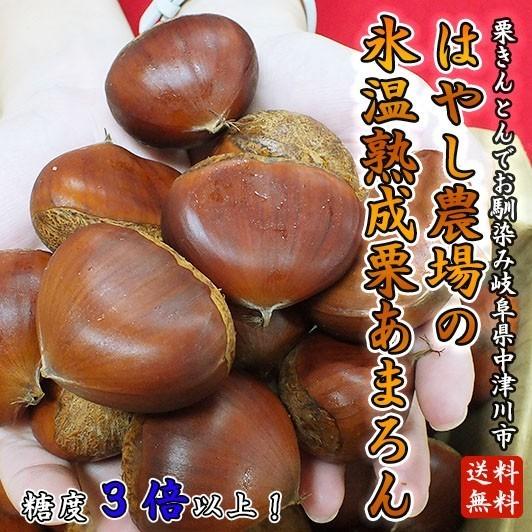 【送料無料】完熟和栗・氷温熟成栗「スイート中津川栗・あまろん」極上栗（ぽろたん）3L 2kg はやし農場【無燻蒸】【林農場】【生栗】｜hida-mino-furusato