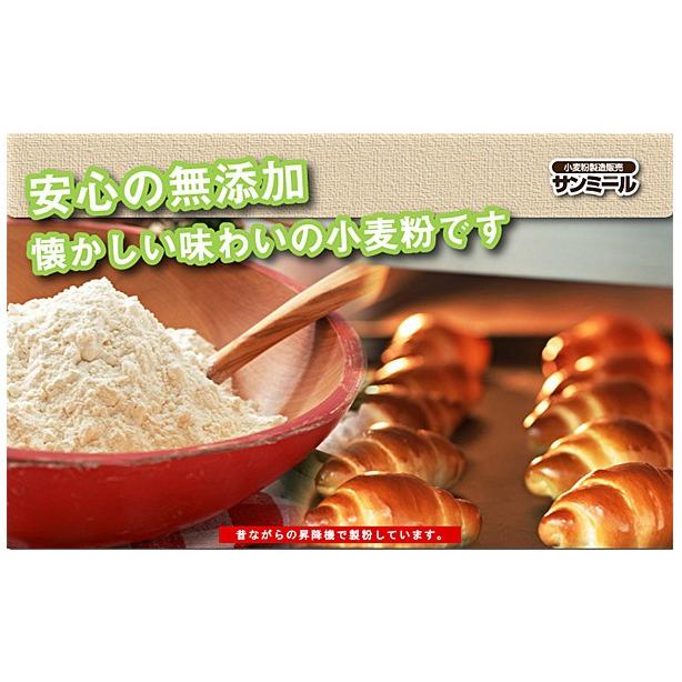 カナダ産強力粉（パン用小麦粉）10ｋｇ（送料無料）（工場直送）パンづくりのプロから初心者までオススメの小麦粉｜hida-mino-furusato｜02