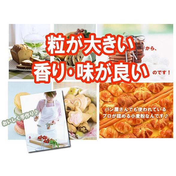 カナダ産強力粉（パン用小麦粉）10ｋｇ（送料無料）（工場直送）パンづくりのプロから初心者までオススメの小麦粉｜hida-mino-furusato｜03