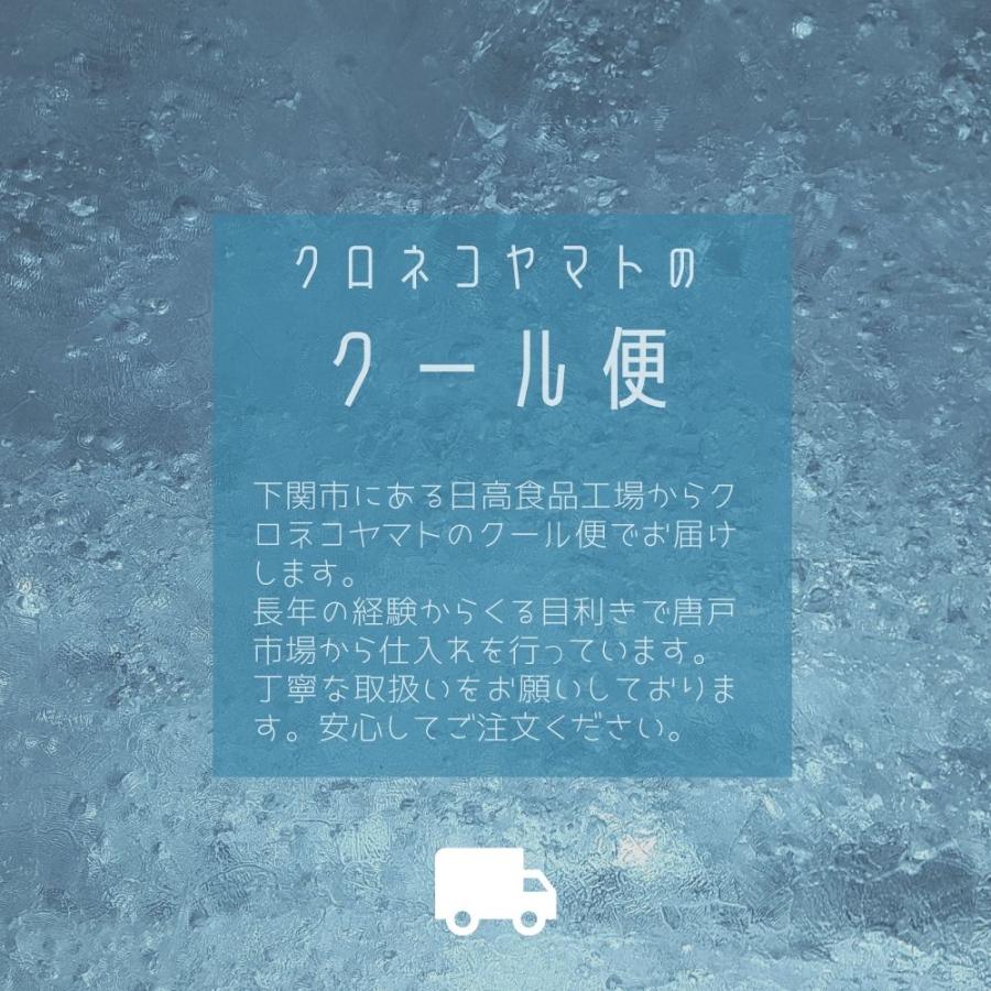 ふぐ料理セット（刺身・ちり）約2-3人前・冷蔵 ギフト お取り寄せ 宅配｜hidakahonten｜10