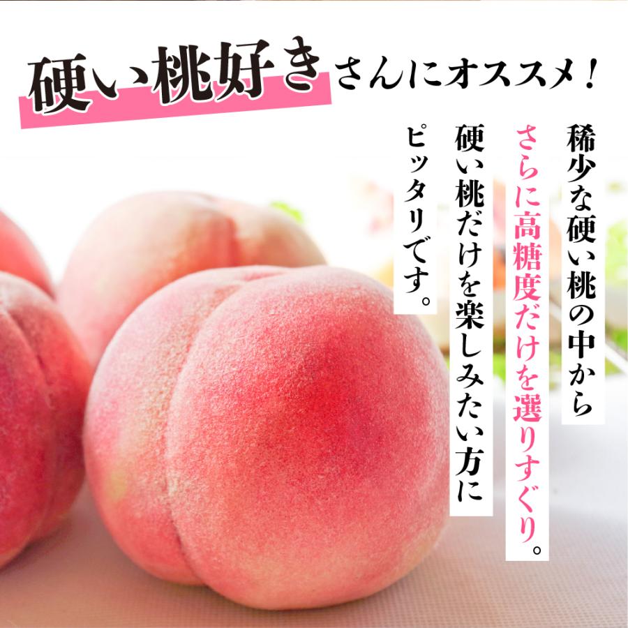 桃 糖度15度以上 4-6玉 桃ギフト 品種お任せ 硬肉品種 硬い 贈答用 甘い 品種 硬い桃 桃 飛騨のたから桃 特選 朝採れ 高級 ギフト つむぎ果樹園 9月上旬発送_2