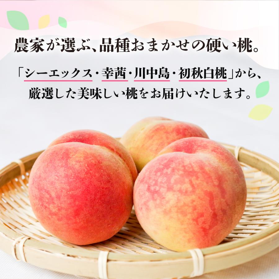 桃 糖度15度以上 4-6玉 桃ギフト 品種お任せ 硬肉品種 硬い 贈答用 甘い 品種 硬い桃 桃 飛騨のたから桃 特選 朝採れ 高級 ギフト つむぎ果樹園 9月上旬発送_4