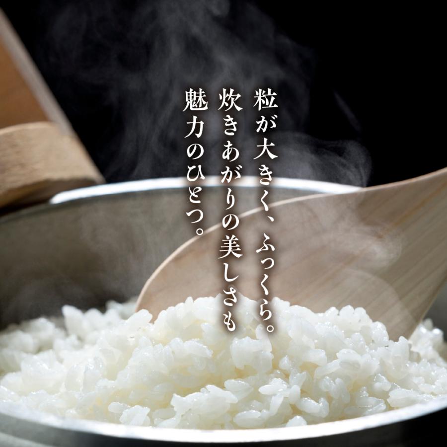 令和8年産 新米予約 岐阜 飛騨産 いのちの壱 白米 5kg 下呂 かみはら