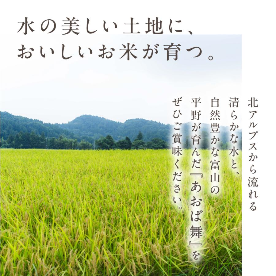 コシヒカリ 令和7年産 富山県産 こしひかり あおば舞 10kg JAあおば 