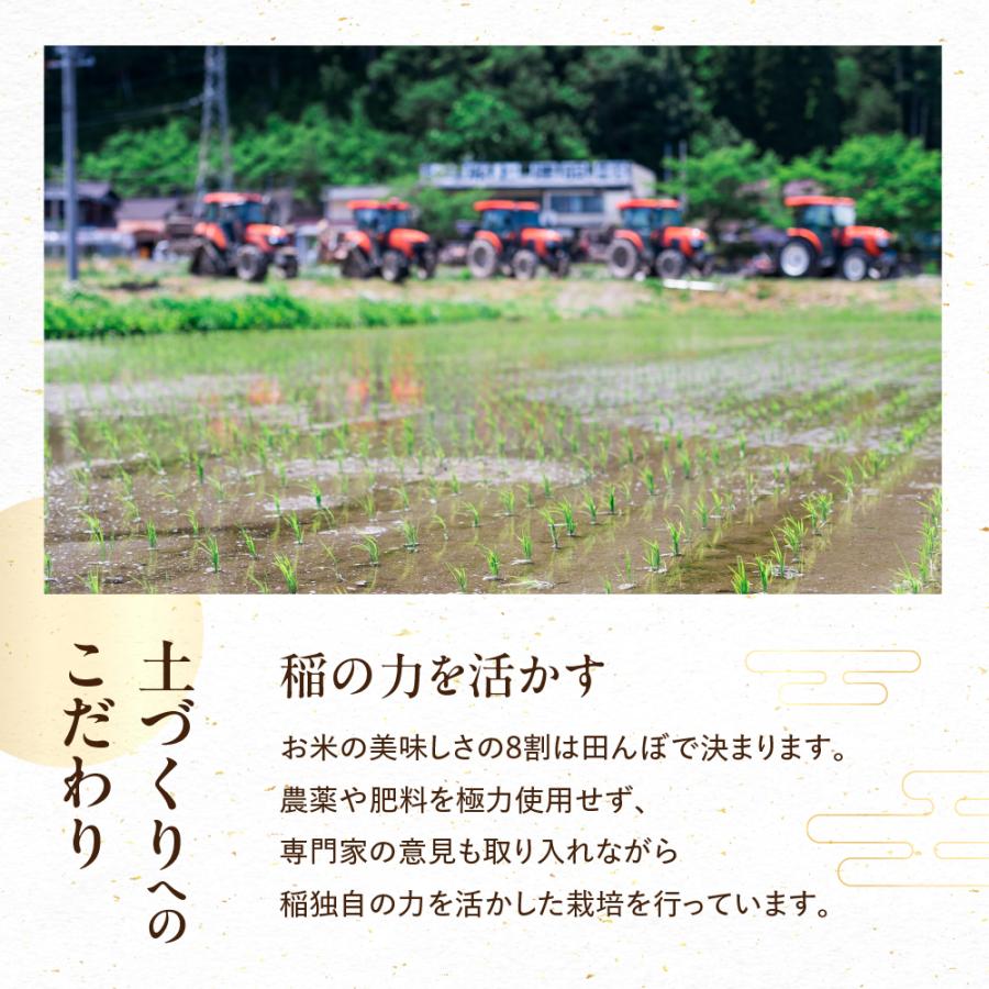 コシヒカリ 令和7年産 お米 10kg 金賞農家の飛騨産 10キロ 白米 精白米