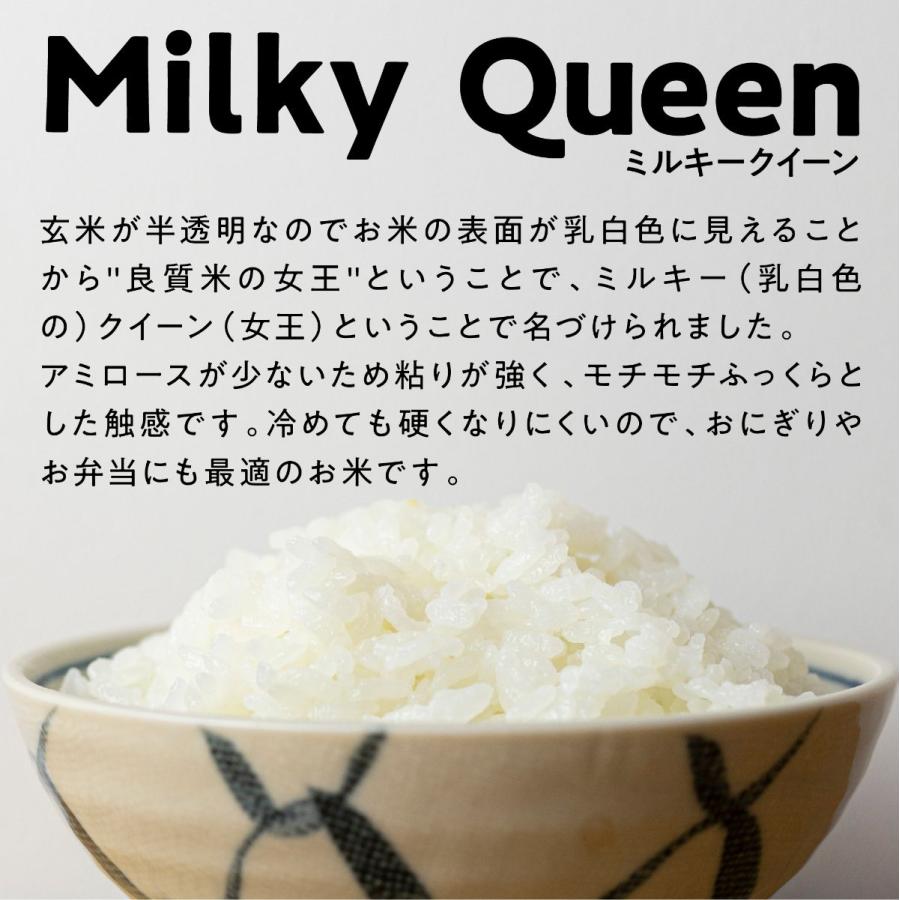 ミルキークイーン 新米 お米 10kg 令和7年産 白米 白月（はくげつ