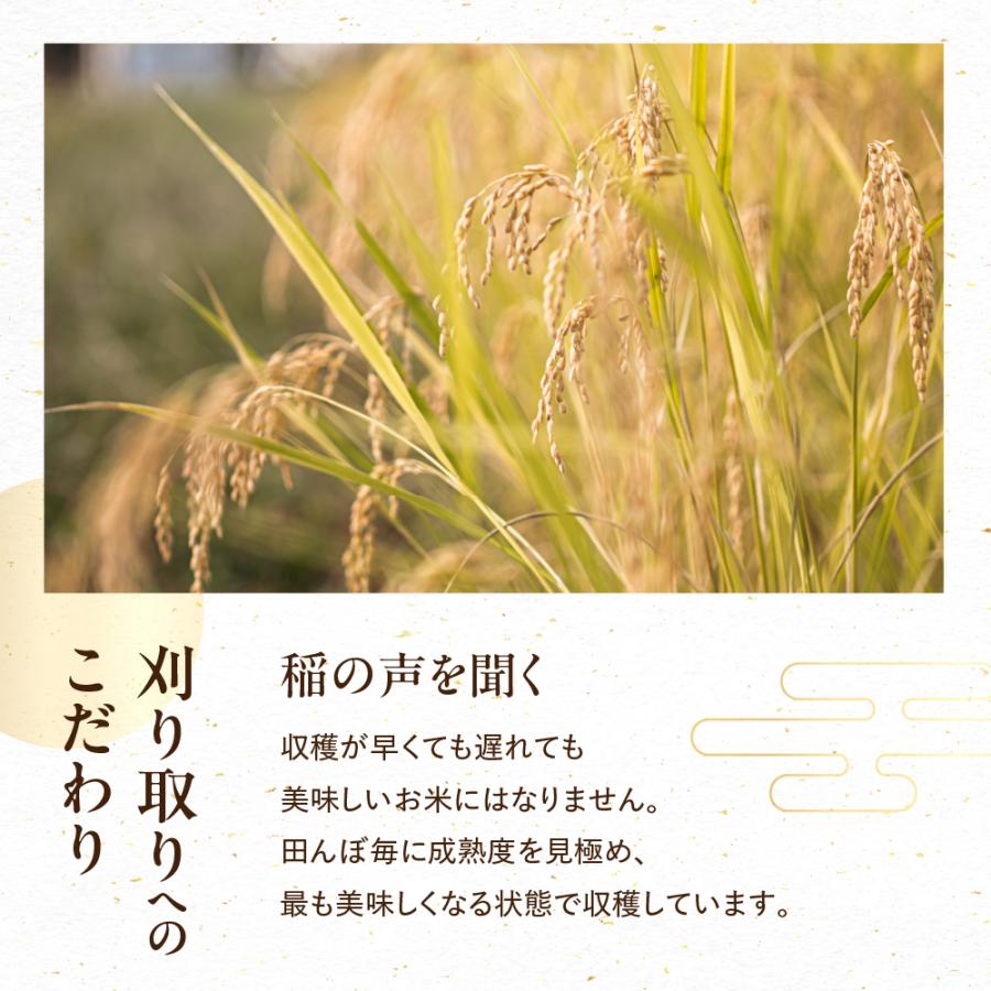 ミルキークイーン お米 10kg 令和7年産 白米 白月（はくげつ） 5kg×2