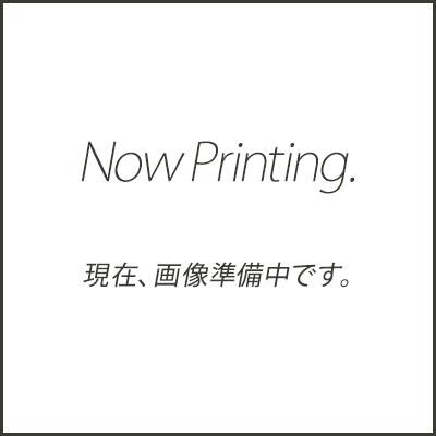 ニルフィスク 業務用ドライバキュームクリーナー GD930用 交換部品 バック固定用プレート 3個入り 1407014500 代引き不可 メーカー直送（Yahoo!・高圧洗浄機専門店 ヒダカ）