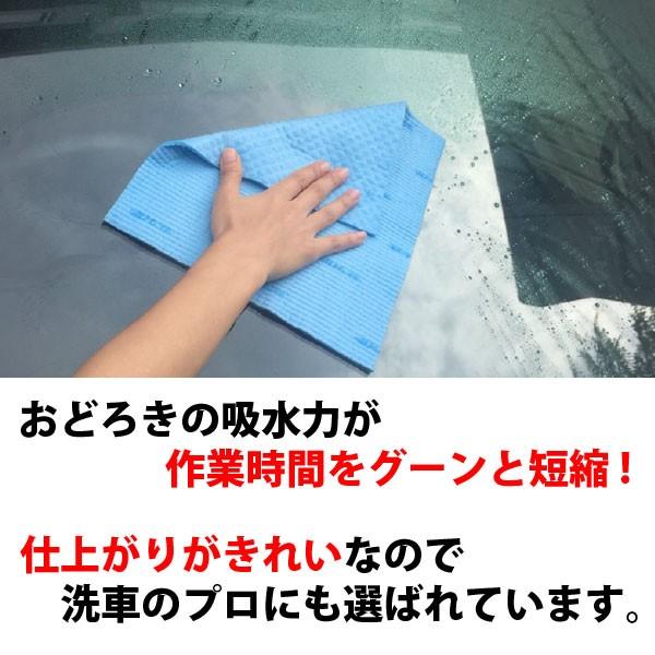 小物 suuua 楽天市場】【ネコポス送料無料】吸水ワイパー5枚入（219139