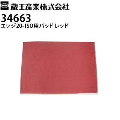 蔵王産業 業務用 ハイパワー振動ポリッシャー エッジ20-ISO(EDGE20-ISO 