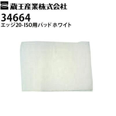 蔵王産業 業務用 ハイパワー振動ポリッシャー エッジ20-ISO(EDGE20-ISO 